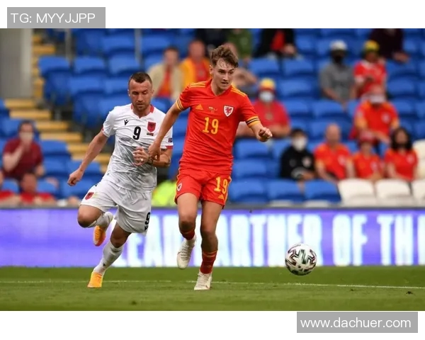 当今足坛最具影响力的著名足球明星全面解析与发展趋势分析